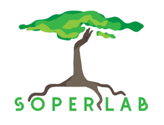 The Soper Lab